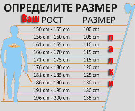 Как выбрать палки для скандинавской ходьбы.