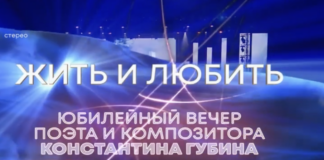 Концерт Константина Губина